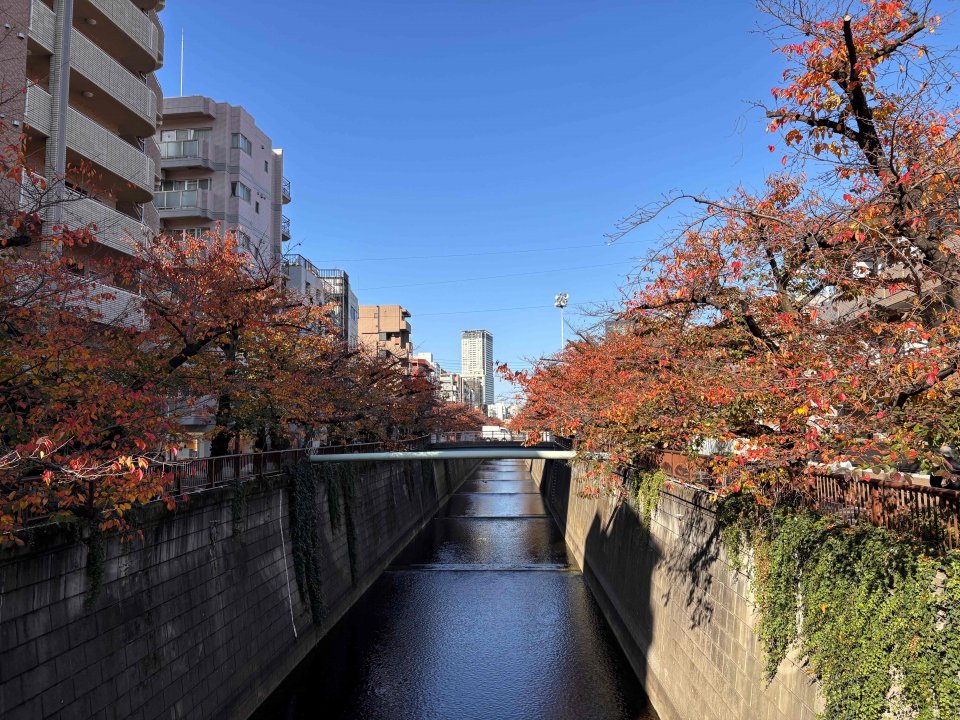 いよいよ☆の画像